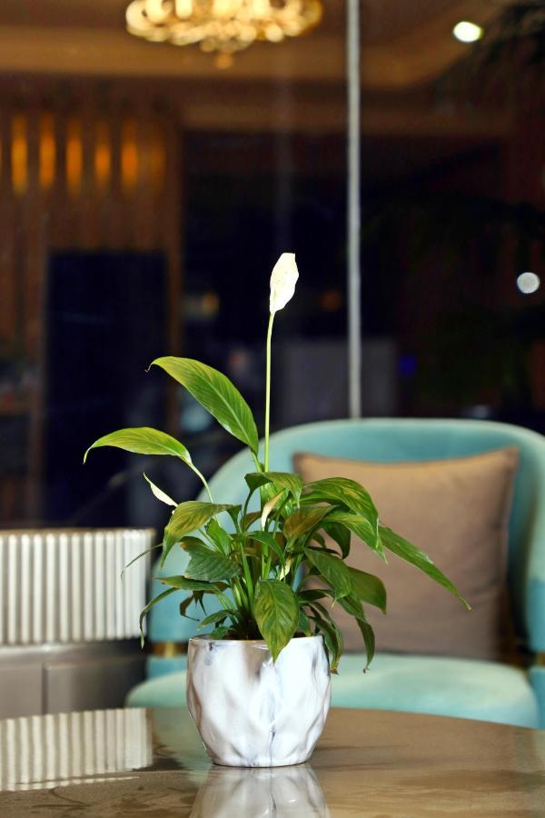Blusalzz Residence Amritsar Exterior foto